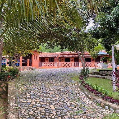 Hotelito Rincon De La Ceiba San José Екстериор снимка